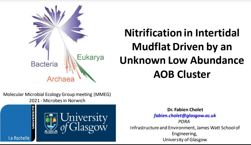 Amazing talks by <a href="/fabien_cholet/">FabienCholet</a> showcasing some aspects of his PhD findings #MMEG2021 #Nitrification #uofg