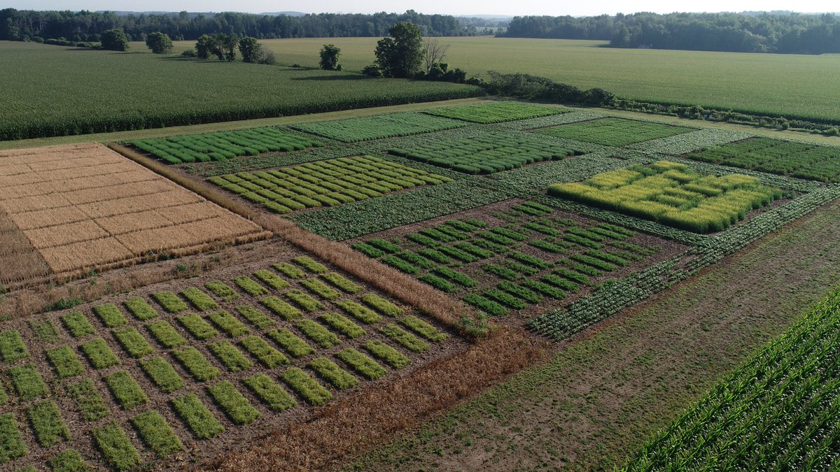 How has another year passed!? Thank you to all for a great season, especially our excellent student team!

Interested in ag research? Check our our website for 2022 student opportunities in our diverse research program.

blackcreekresearch.ca #ontag #agresearch
