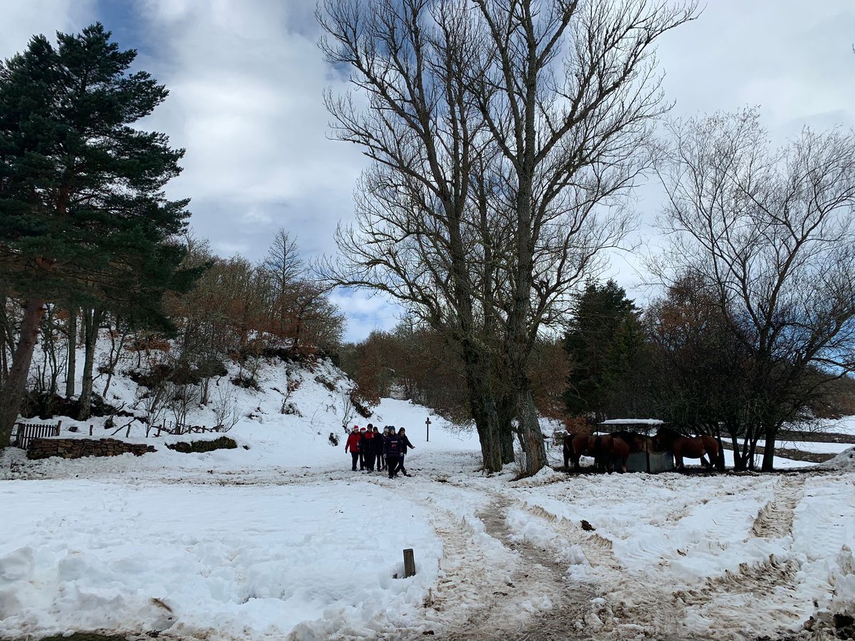 ¡1º de Bachillerato, en la nieve ❄️❄️!

Nuestro alumnado visita San Martín de Perapertú, el bosque fósil de Verdeña 🪨🌲y Santa María de Redondo. 

Una oportunidad única de acercarse a la geología y conocer el maravilloso entorno de la Montaña Palentina 🏔😍.