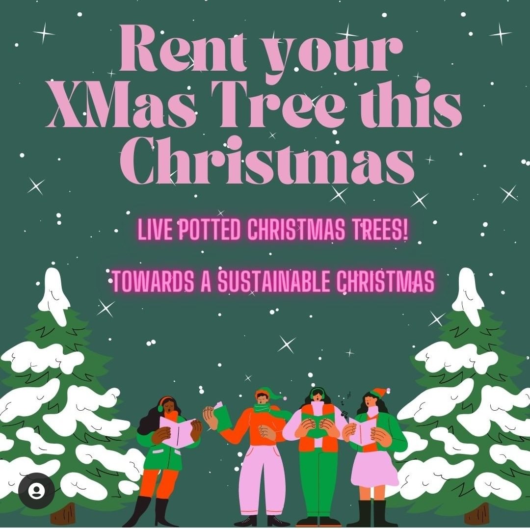 Shopforclimate's tweet image. A tree is for life not just for Christmas!

Live potted Christmas Trees!
From 1st weekend in December.

Locally grown, a live tree is step towards a sustainable Christmas.
No space or garden to replant?

Buy your live tree locally. You could try Puddle Farm in Cornwall.