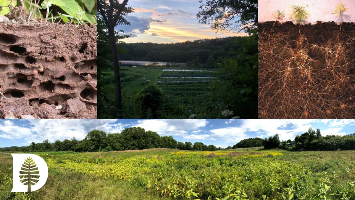 Postdoc op. for theory of above and belowground spatial community assembly processes and to help #diversifyEEB with <a href="/BalaChaudhary/">Dr. Bala Chaudhary</a>  and <a href="/OngLab1/">Ong Lab</a> (that's me!) apply.interfolio.com/98832. (1/4)