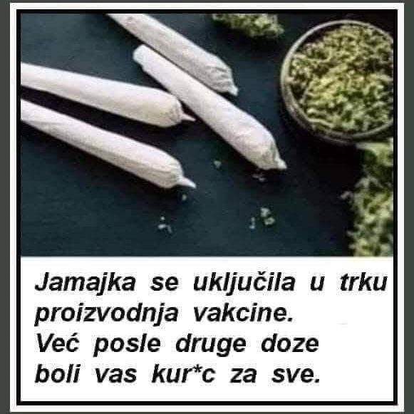 milansaw's tweet photo. Ja sam za treću dozu... 😁😁😁 https://t.co/uhf5nYUai0