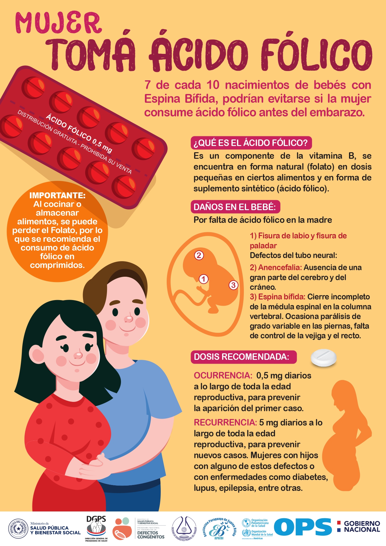 Ministerio de Salud on X: Estas malformaciones podrían evitarse mediante  el aporte farmacológico de ácido fólico antes de producirse el embarazo (de  3 a 6 meses antes) y durante los tres primeros