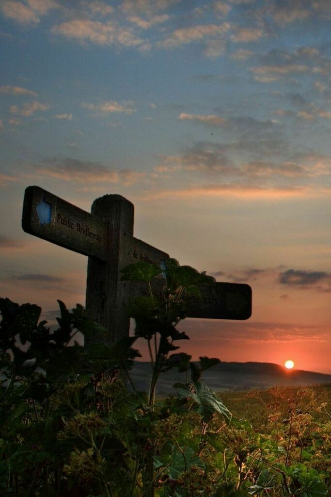 etop9t's tweet photo. the best of nature photo. See More #nature #landscape #photography : https://t.co/9D5uLKTKQ6 https://t.co/AIZ4w7TOuC