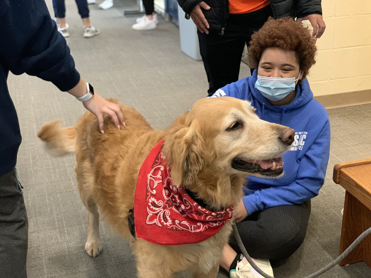 UISedu's tweet photo. Students: Take a break from finals and projects and pet some mini horses and collie dogs at TRAC until 1 p.m. #StressRelief @UISCampusRec https://t.co/96vjp56YdS