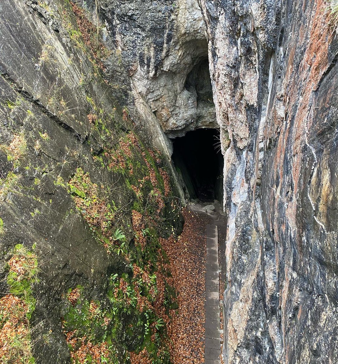AmberRVibe's tweet photo. @altbridgeschool #Post16 out exploring in #NorthWales today on a day walk with #VibeOutdoors! 

#Loggerheads #moelfamau #navigating #walking #wales #explore #learning #LOTC #outdooreducation https://t.co/prCjzxnqnh