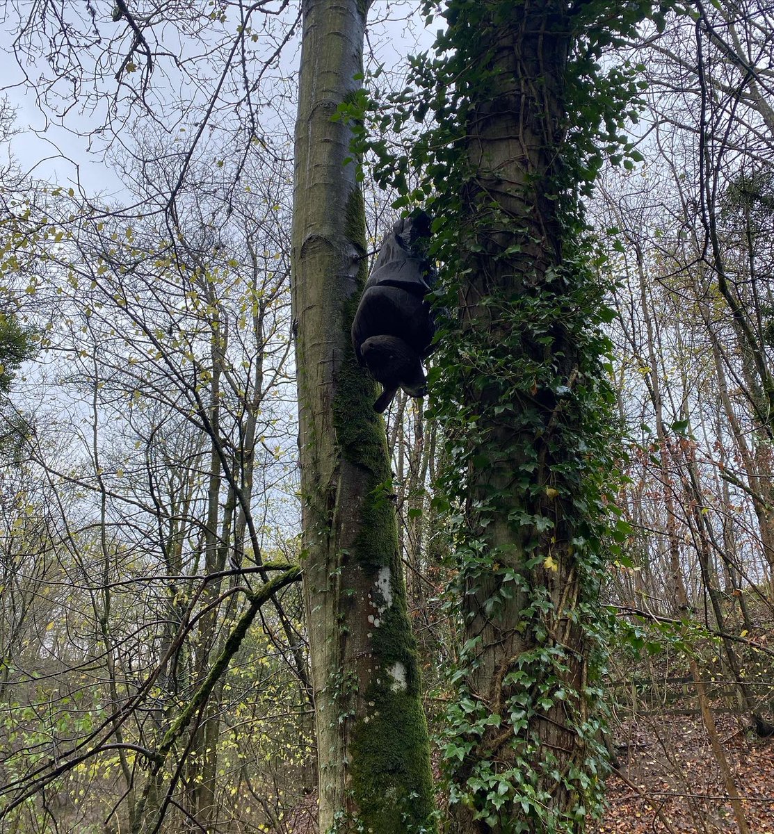 AmberRVibe's tweet photo. @altbridgeschool #Post16 out exploring in #NorthWales today on a day walk with #VibeOutdoors! 

#Loggerheads #moelfamau #navigating #walking #wales #explore #learning #LOTC #outdooreducation https://t.co/prCjzxnqnh