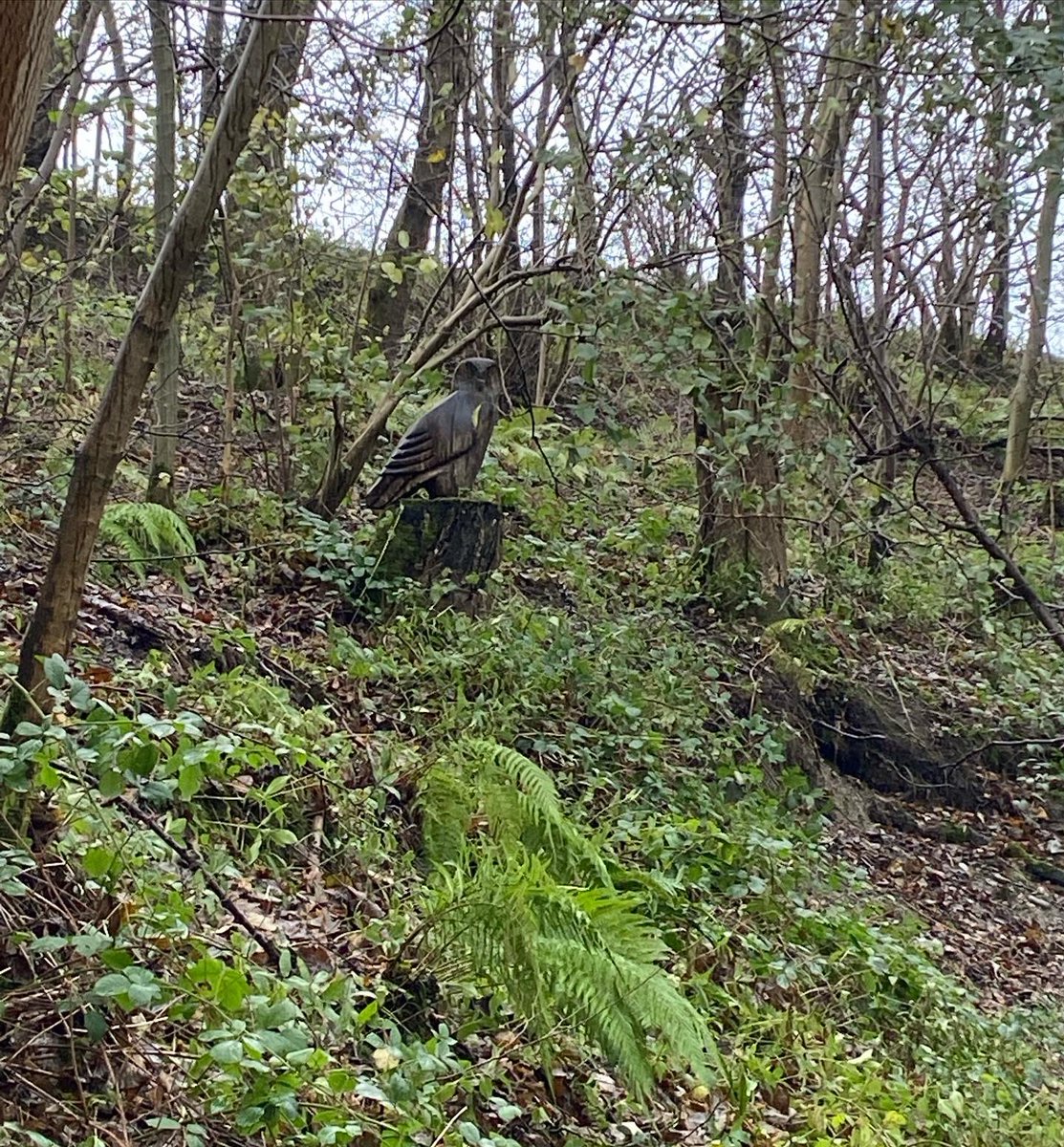 AmberRVibe's tweet photo. @altbridgeschool #Post16 out exploring in #NorthWales today on a day walk with #VibeOutdoors! 

#Loggerheads #moelfamau #navigating #walking #wales #explore #learning #LOTC #outdooreducation https://t.co/prCjzxnqnh