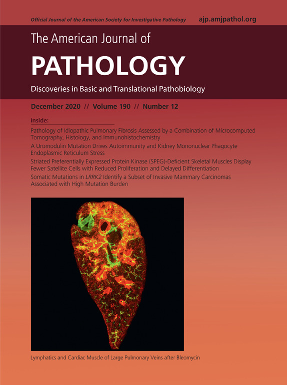 New month, new #legacycontent!  The December 2020 issue of <a href="/AJPathology/">The American Journal of Pathology</a> is now fully free to all readers!

Full issue: ajp.amjpathol.org/issue/S0002-94…