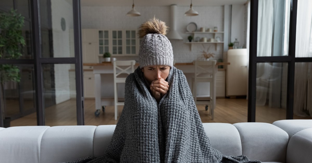 Indowwindows's tweet photo. Heat from inside your home is lost through windows. Improve window insulation with the thermal benefits of Indow inserts. https://t.co/8sv7GXAd3z https://t.co/yON0xgSn0S
