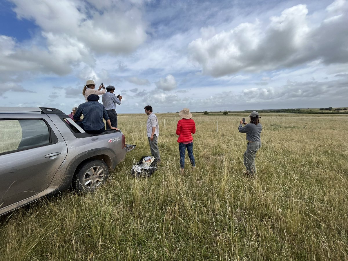 Pampa Oriental tweet media