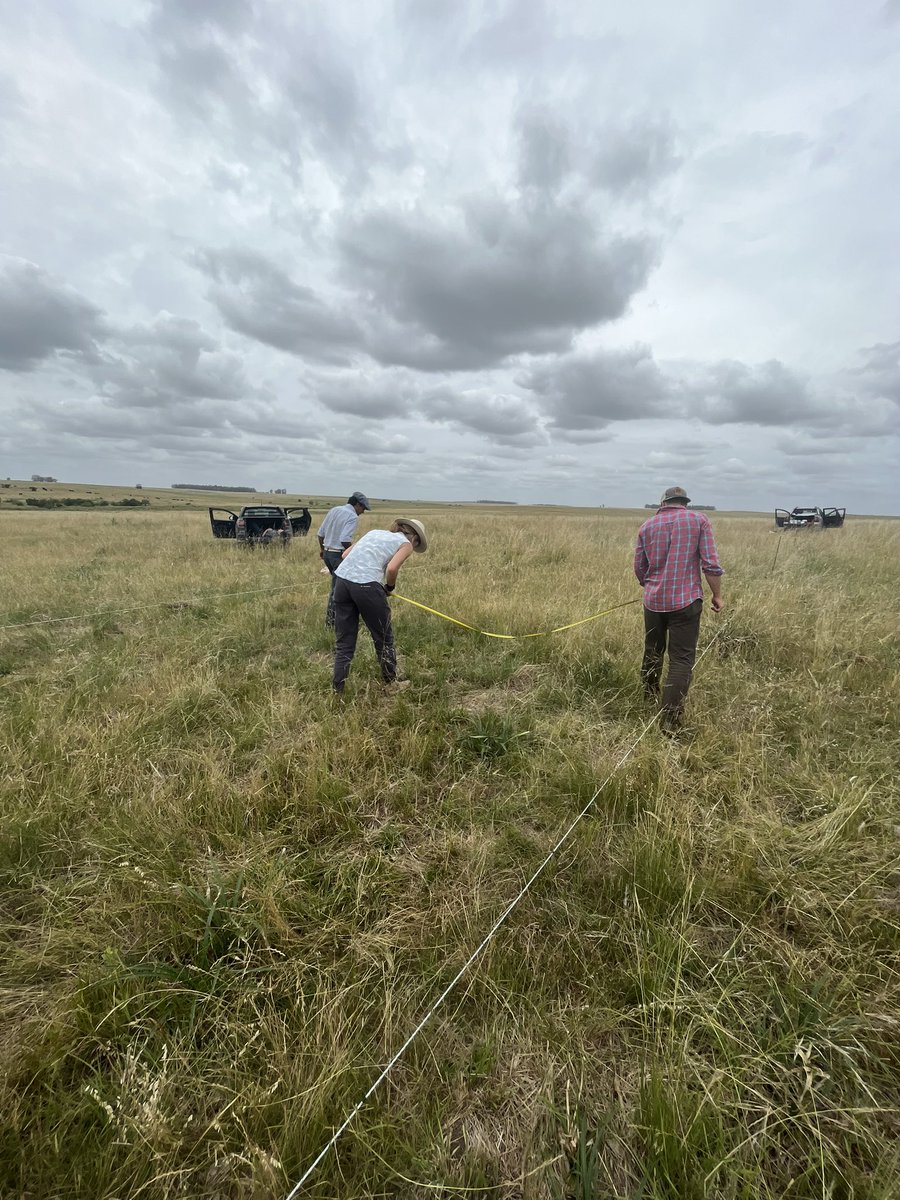 Pampa Oriental tweet media