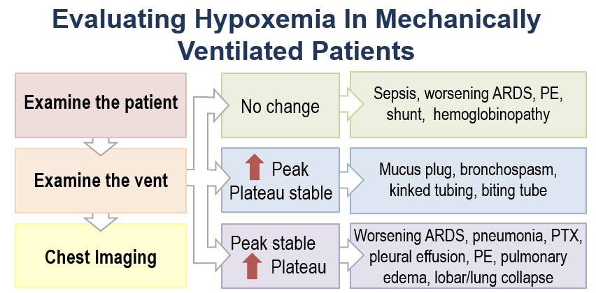 Loved joining @BID_CMRs for M&M. Discussed new hypoxemia on vent. Amazing summary graphic by Dr. Jenna Klubnick 1. Examine pt 2. Check vent 3. Imaging 🔹No change on vent = systemic issues affecting O2 🔹⬆️peak, stable plat = resistance 🔹⬆️peak and ⬆️ plat = ⬇️ compliance