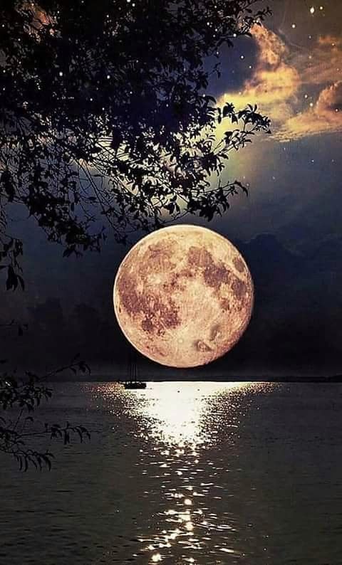 ruben_corella's tweet photo. #fullmoon #moonlovers #nightlovers #nightime #bynight #nochesdearte #noctámbulos #selene #lunallena #beautiful #Belleza #light #moonlight #landscape #wildlifephotography #FotoDelDía #sueños #sogni #decenber #Diciembre #lookatthis #Estrellas #etoiles #fotoarte #dreams #lumiere https://t.co/GLNqnnwYmQ