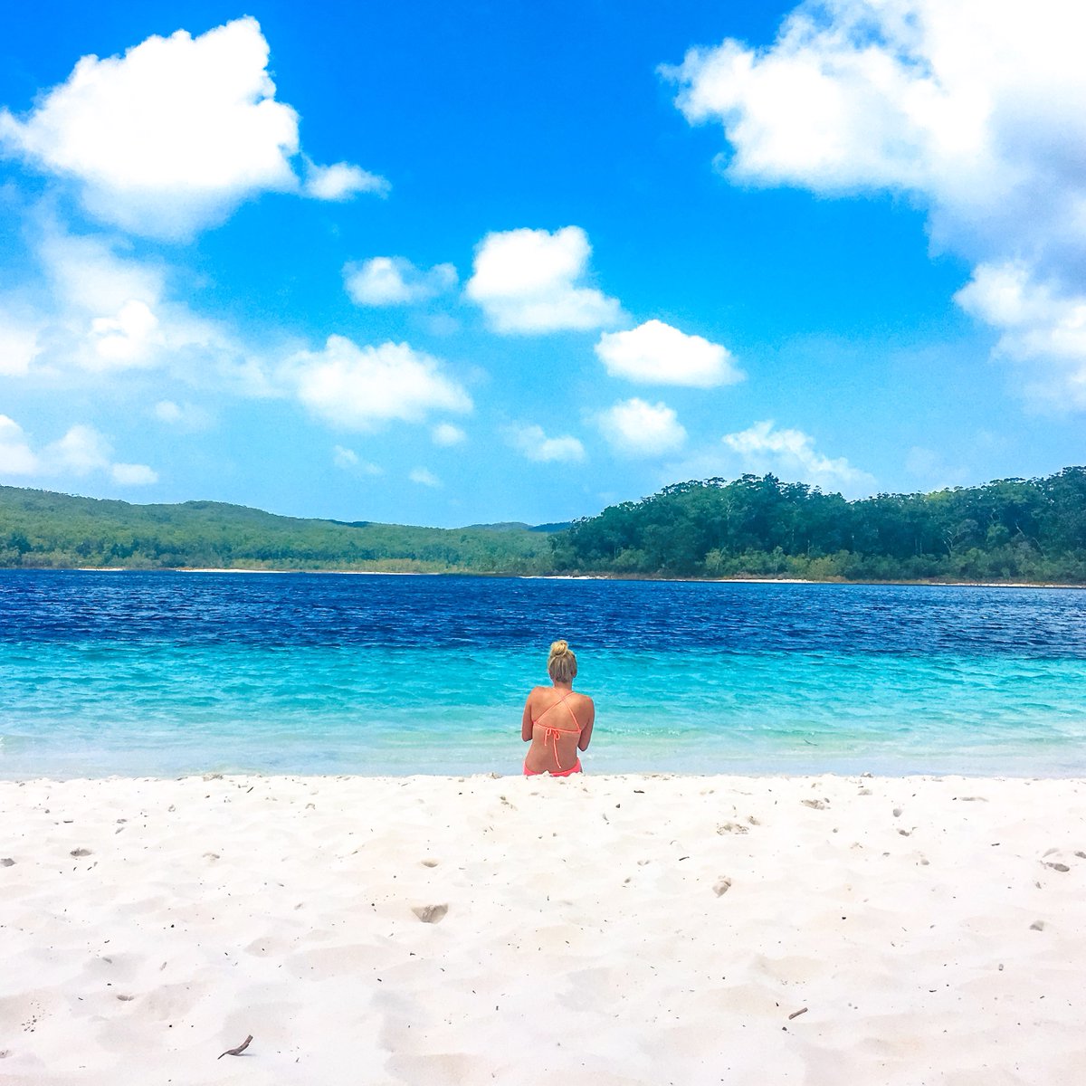 ParraDeSys tweet media