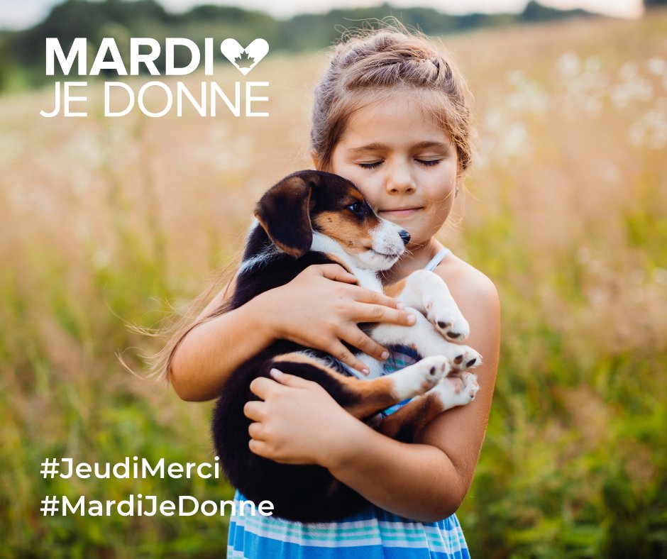 QuebecGives's tweet photo. En ce #JeudiMerci, c'est maintenant le temps de remercier toutes les personnes qui se sont impliquées au sein de votre campagne #MardiJeDonne, le 30 nov. dernier!
Today is #ThankYouThursday and we encourage you to thank everyone who was involved in your #GivingTuesdayCA campaign. https://t.co/wsOW5Kqy8W