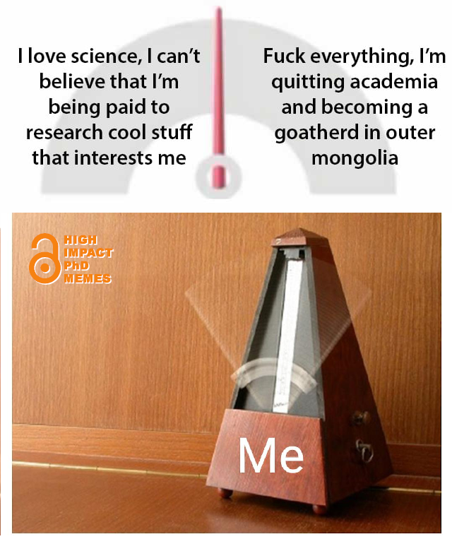 MemingPhD's tweet photo. #PhD #phdlife #phdmemes #phdchat #phdforum #AcademicTwitter #AcademicChatter #academia #research https://t.co/o2TggQDDrH