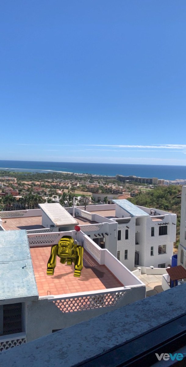 lzepeda979's tweet photo. Gold Ape # 378 is out there getting some sun in the beautiful Mexican Sunshine #LosCabos #OmiKongs #VVAC #vevefam #veve https://t.co/RWuYEi5nnC
