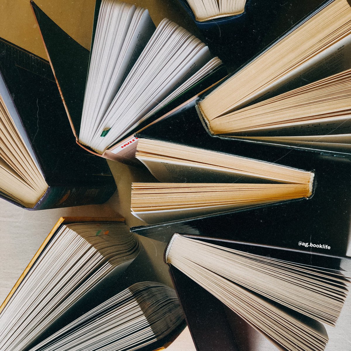 read_with_alice's tweet image. Ոչ այդքան ստացված նոյեմբերս🤷🏼‍♀️
1. Грешница - Тесс Герритсен ...3/5⭐️
2. Хрупкое равновесие - Ана Шерри...2/5⭐️
3. Тень ветра - Карлос Руис Сафон ...4/5⭐️
4. Առանց ընտանիքի - Հեկտոր Մալո...5/5⭐️