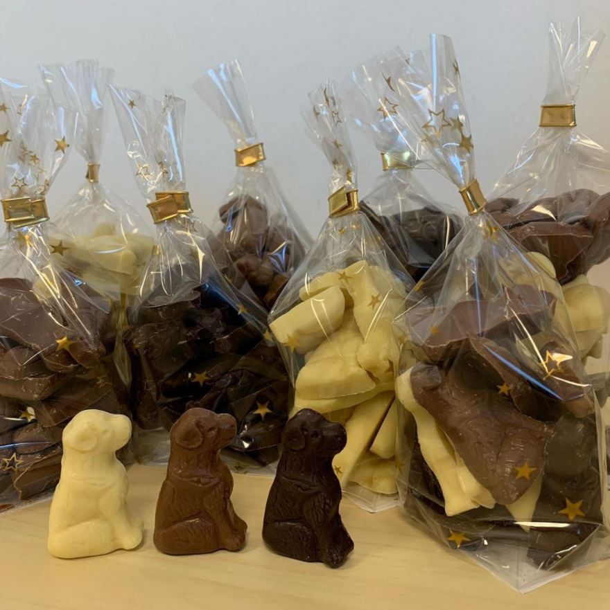 Chiens Guides Paris tweet media