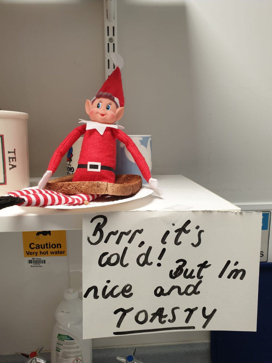 Elf on shelf begins for D33