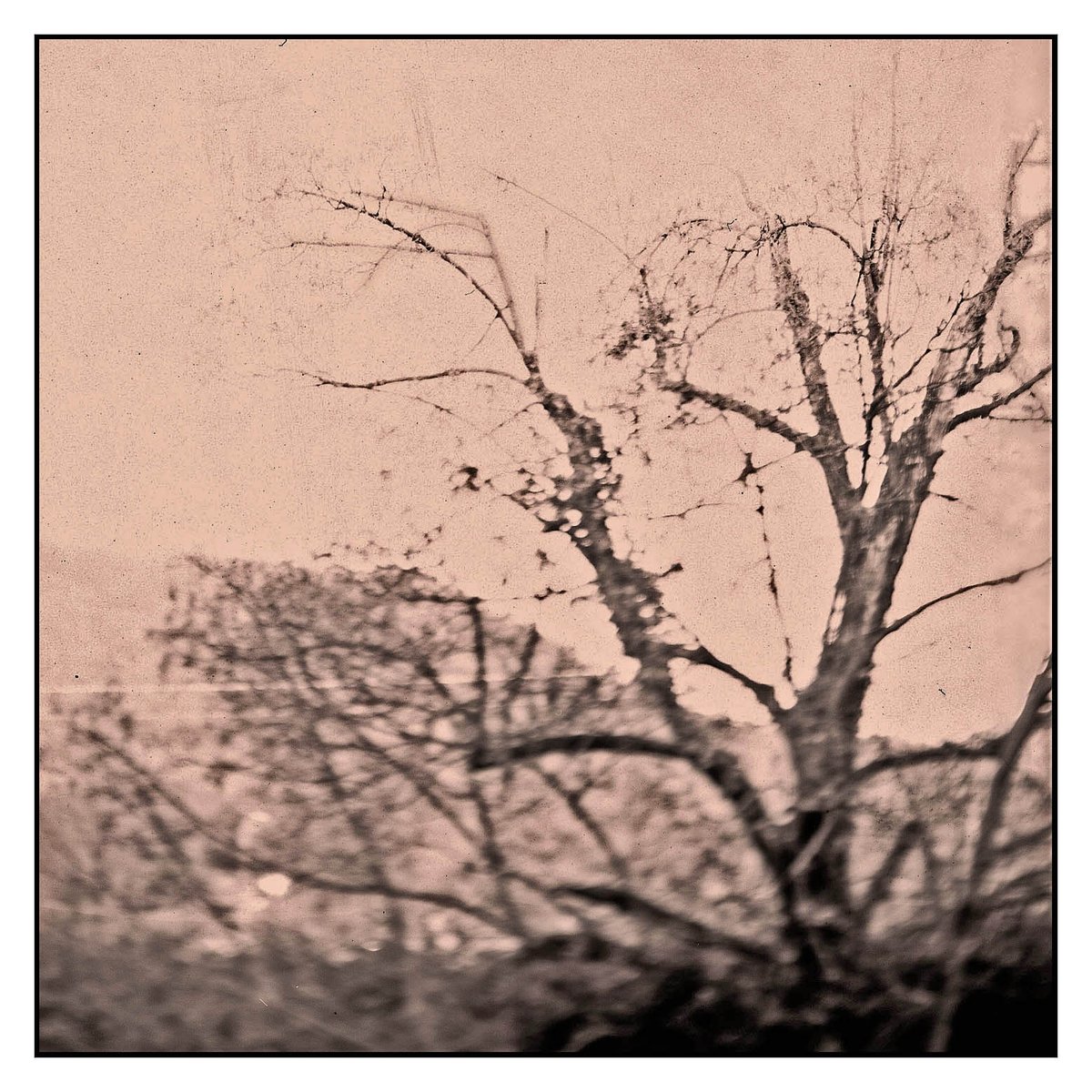 leobellandi's tweet photo. #papernegative #calotype #calotipo #alternativephotography #alternativeprocess #pictorialism #pittorialismo #talbotype #oldphotography #altfotografie #bnwphotography #lbdcping #lbdcfoto #argetiquephotographie #fotografie #analogcamera #largeformatcamera #analogphotography #bnw https://t.co/pdW6sBxDmy