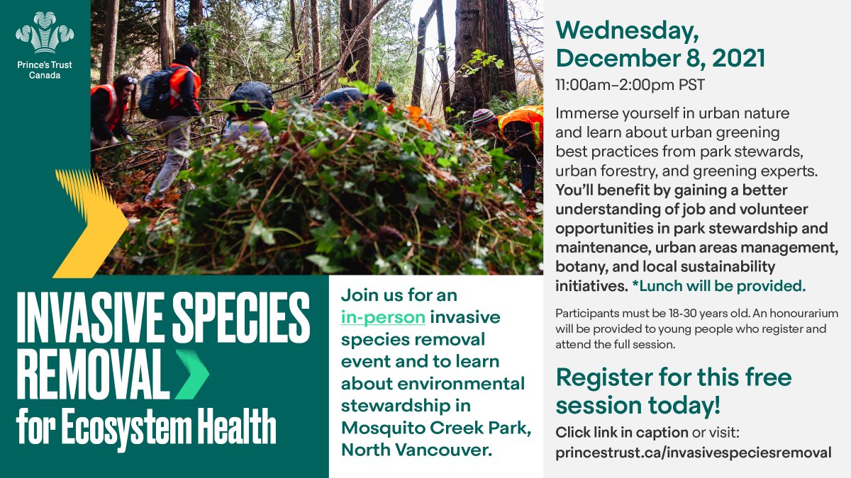 KingsTrustCA's tweet photo. Join us December 8 to learn about environmental stewardship in Mosquito Creek Park, North Vancouver!
Register here https://t.co/jknehM28mS
#PrincesTrustCanada #Sustainability #UrbanGreening #ParkStewardship https://t.co/l6K8bY36u9