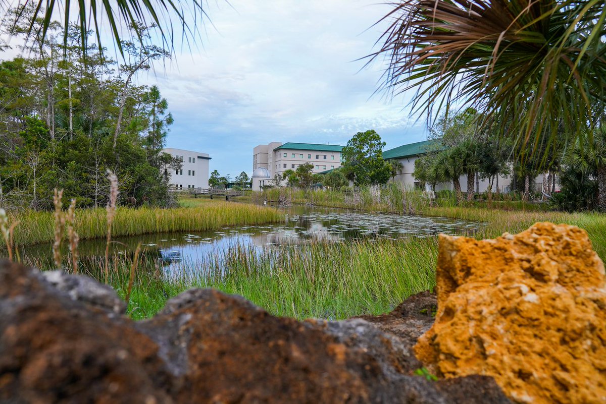 FGCUalumni's tweet photo. Tough to beat December in Paradise😎☀️ 

#WingsUp https://t.co/1WsNTRHOFG