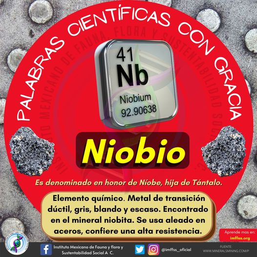 imffss_oficial's tweet photo. Niobio que no, no me gusta, ¿cómo crees?😒🙄😕
🤓✅Aprende más en https://t.co/O1a7SN8Ezh 👍🏻🌻
#Niobio #elementoquimico #metal #aleacion #palabras https://t.co/SeHJB4nPTP