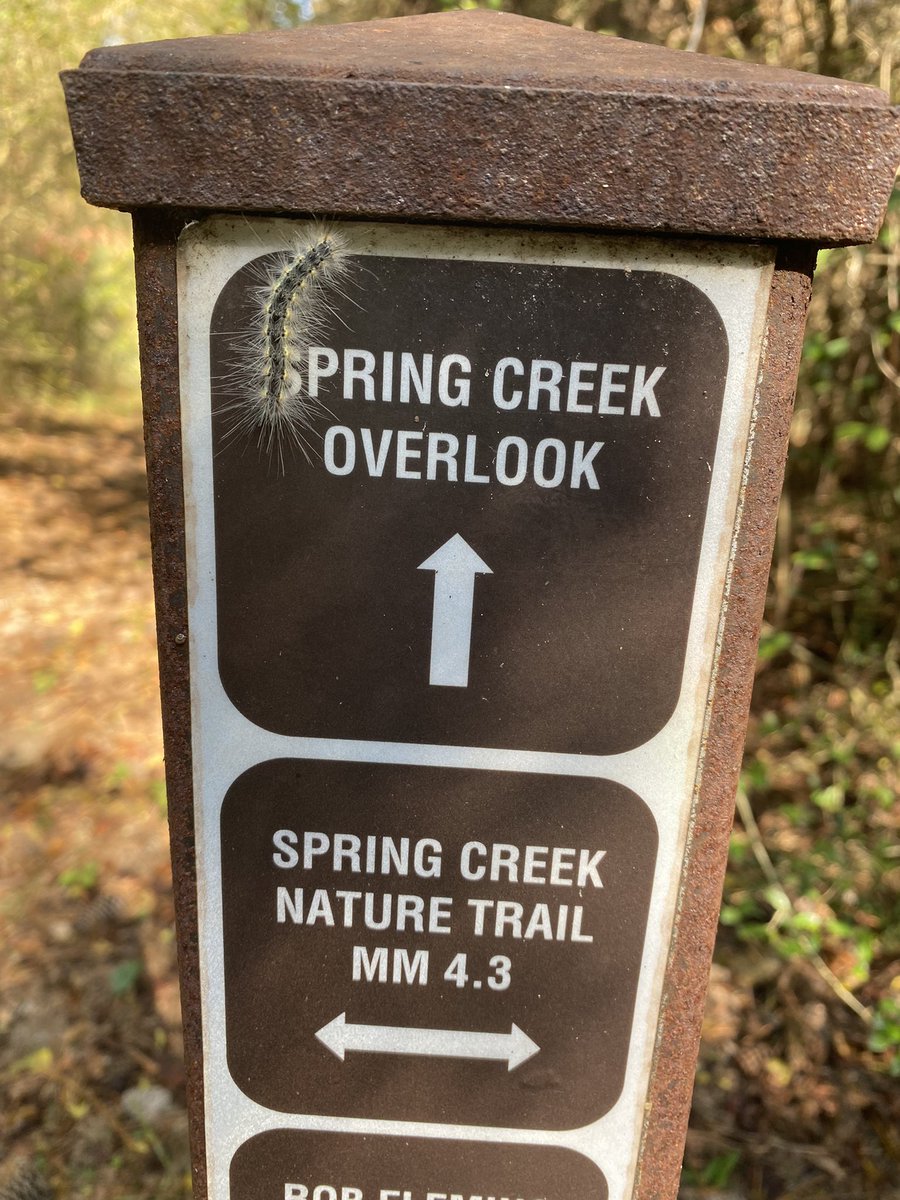 BayouLandConservancy tweet media