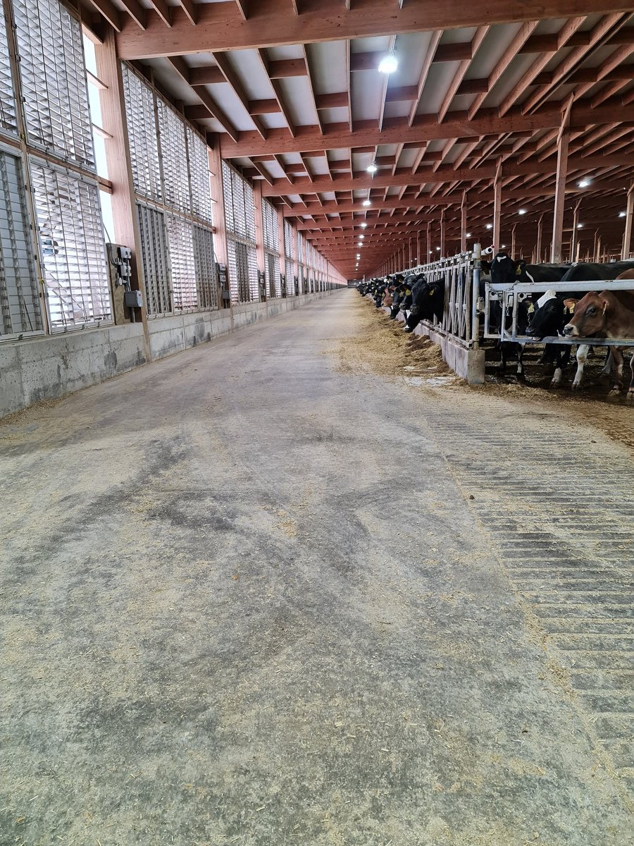 tdibble90's tweet image. Day 2 Mid West Tour 21
Riverview 9500 Xbreds 106pt Rotary 2x milked 35L ecm. Entire Dairy constructed in 8 months. 17 milking sites throughout US with a new Dairy being built every 10 months. Created their own model and sticking to what they know! Top operators @AltaGeneticsUK