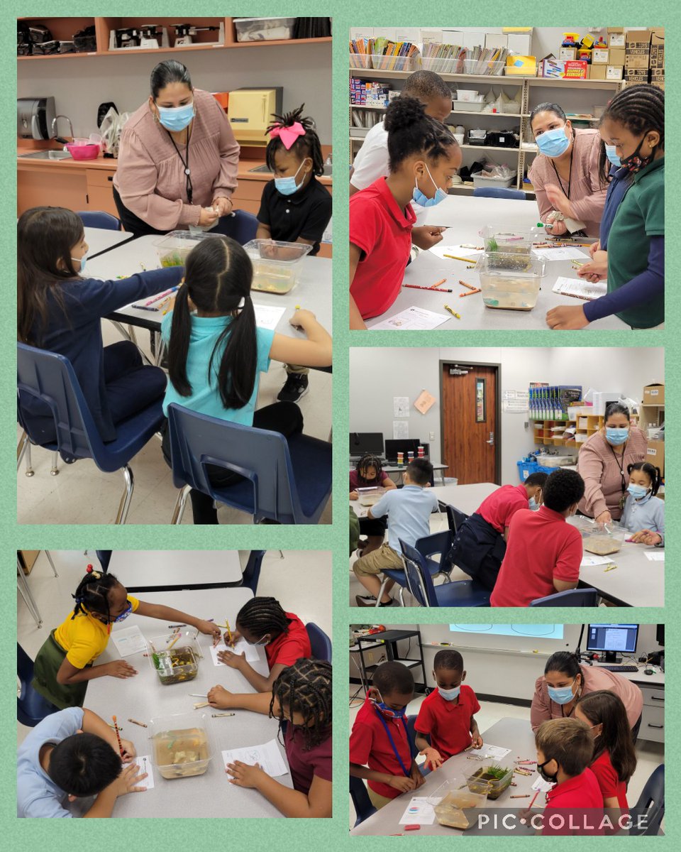 _MrsLyn's tweet photo. Observing physical properties of bodies of water.  @HicksTigers @HicksScience1 @HicksLibrary @AliefISD @AliefScience @Villalpando_DL @dtwong1997 @memkesler https://t.co/Q7evaWu2fx