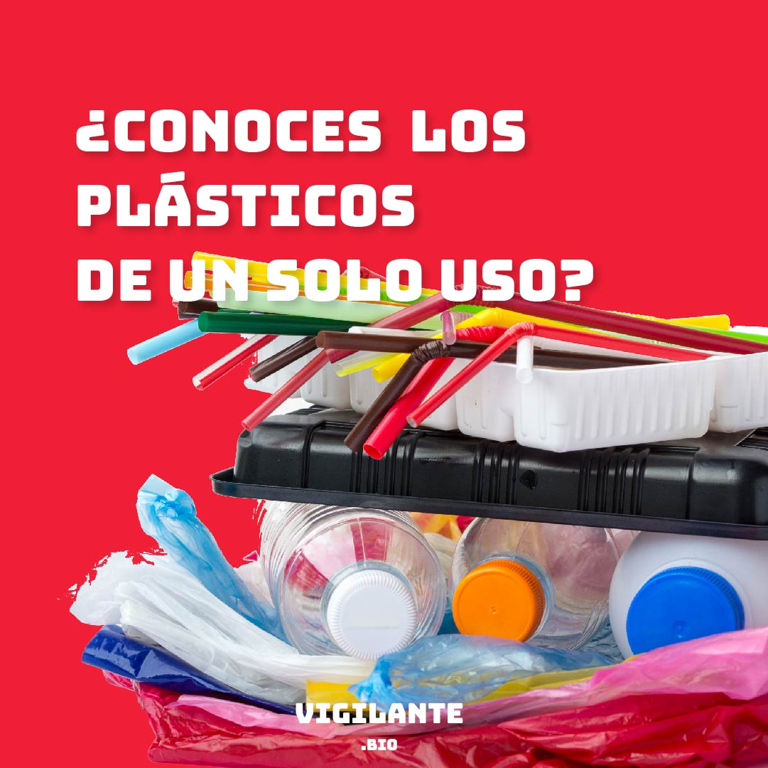 vigilante_bio's tweet photo. Se estima que el 79% de los residuos plásticos producidos hasta ahora se encuentra actualmente en basureros. Te invitamos a leer más sobre el tema…
-
-
#plástico #plasticos #plasticocean #plasticozero #ecologia #MedioAmbiente https://t.co/jn3AHVb3SN