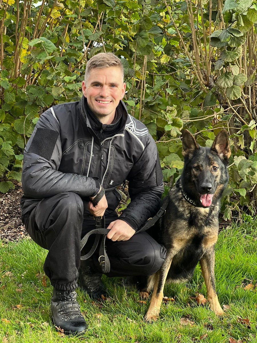 DC_PoliceDogs's tweet photo. Congratulations to our new PD teams after passing their assessments. Left to right Luke with PD Kaiser, Instructor Lee, John with PD Finni, Assessor Tim Lawrence, Instructor Graham, Ben with PD Bond. Well done all &amp; our thanks to our assessor Tim Lawrence from Thames Valley https://t.co/XDnaYttCad