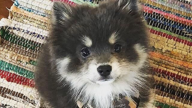 See Livedoornews S Tweet On Dec 2 21 Twitter