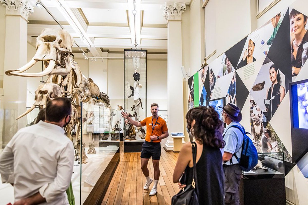 On Monday (6 Dec) at 5pm, <a href="/austmus/">Australian Museum</a> is hosting a free #teachers' night! It's a great chance to meet their Education team and discover the learning opportunities on offer. Learn more: 
australian.museum/event/teachers… <a href="/AustMusEdu/">Australian Museum Education</a>