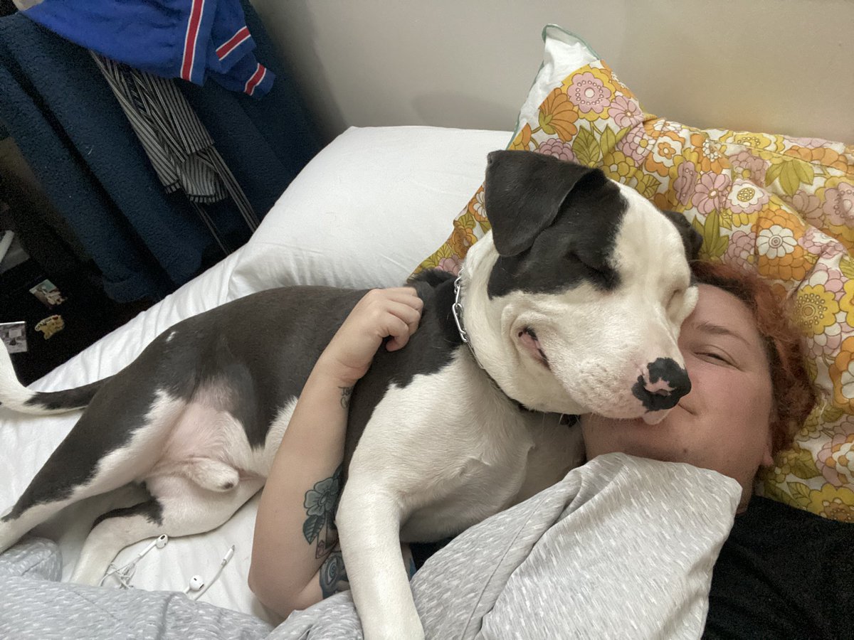 pegbucks's tweet photo. here to remind you, I WOULD LOVE TO DOGSIT UR PUP!

Let me love the shit out of your dog while you’re on vacation! We will do activities and cuddles and I’ll send daily pics. 
Would love to make being a dog aunt a side hustle, send ppl my way❤️

Here was my latest buddy, Bronco! https://t.co/KaABruI7Sz