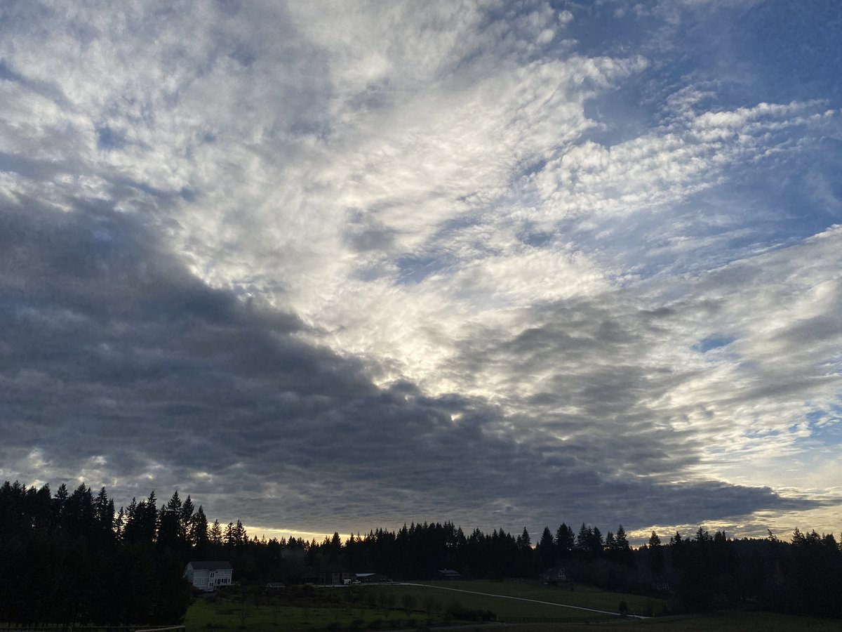 Tyler Mode tweet media