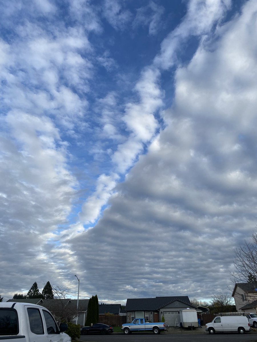 Tyler Mode tweet media