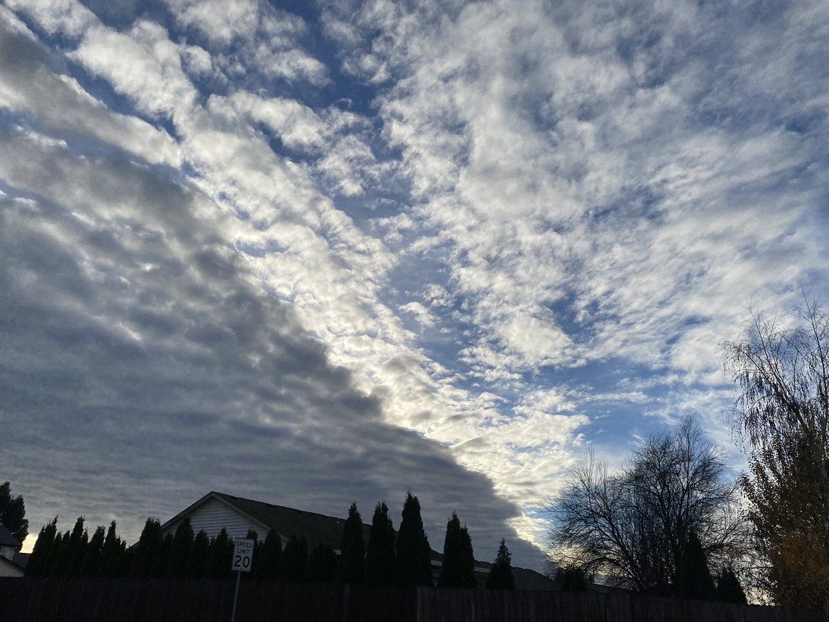 Tyler Mode tweet media