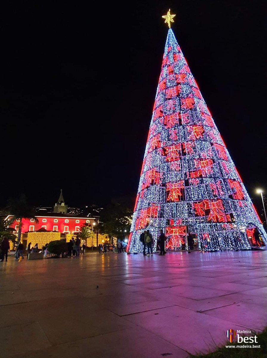 Christmas Lights are now ON 🎄
Happy Christmas!  
#Madeira #Funchal #Natal 