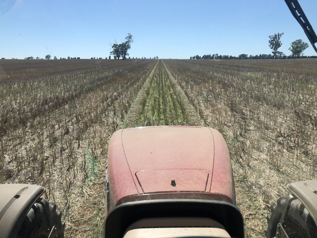 scotthamblin5's tweet image. The other cost of a wet harvest. Busy time. I traded my piece and quiet with my daughter in-law for a coffee and a grand daughter. #qualitytime #goodtrade