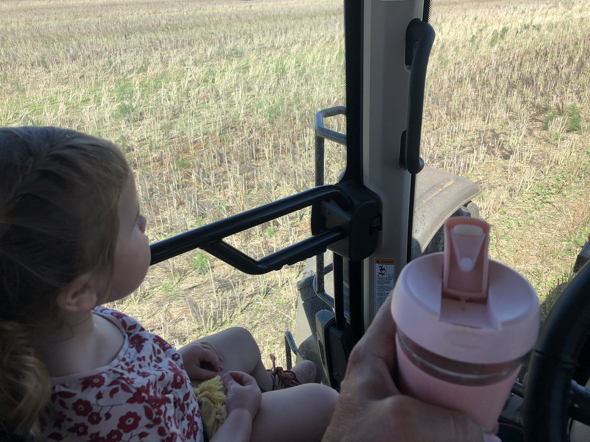 scotthamblin5's tweet image. The other cost of a wet harvest. Busy time. I traded my piece and quiet with my daughter in-law for a coffee and a grand daughter. #qualitytime #goodtrade