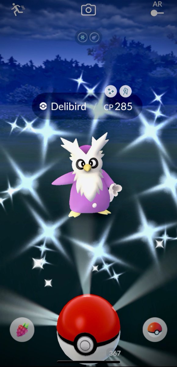 CoolCatHat1's tweet photo. Wow got this tonight🥳 first #Zekrom also my first shiny #Delibird✨✨ #PokemonGo https://t.co/7qXoycwbam