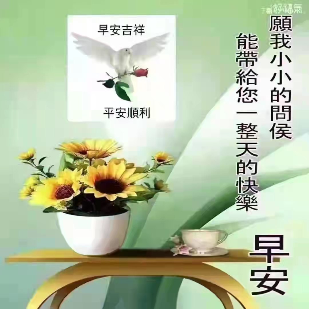 lsl3509's tweet photo. 千古江山万古云，世间真情最难寻。茫茫人海能相识，便是人间有缘人。祝幸福安康！快乐每一天！早上好！🌹🌹🌹 https://t.co/N6cqLN2xpd