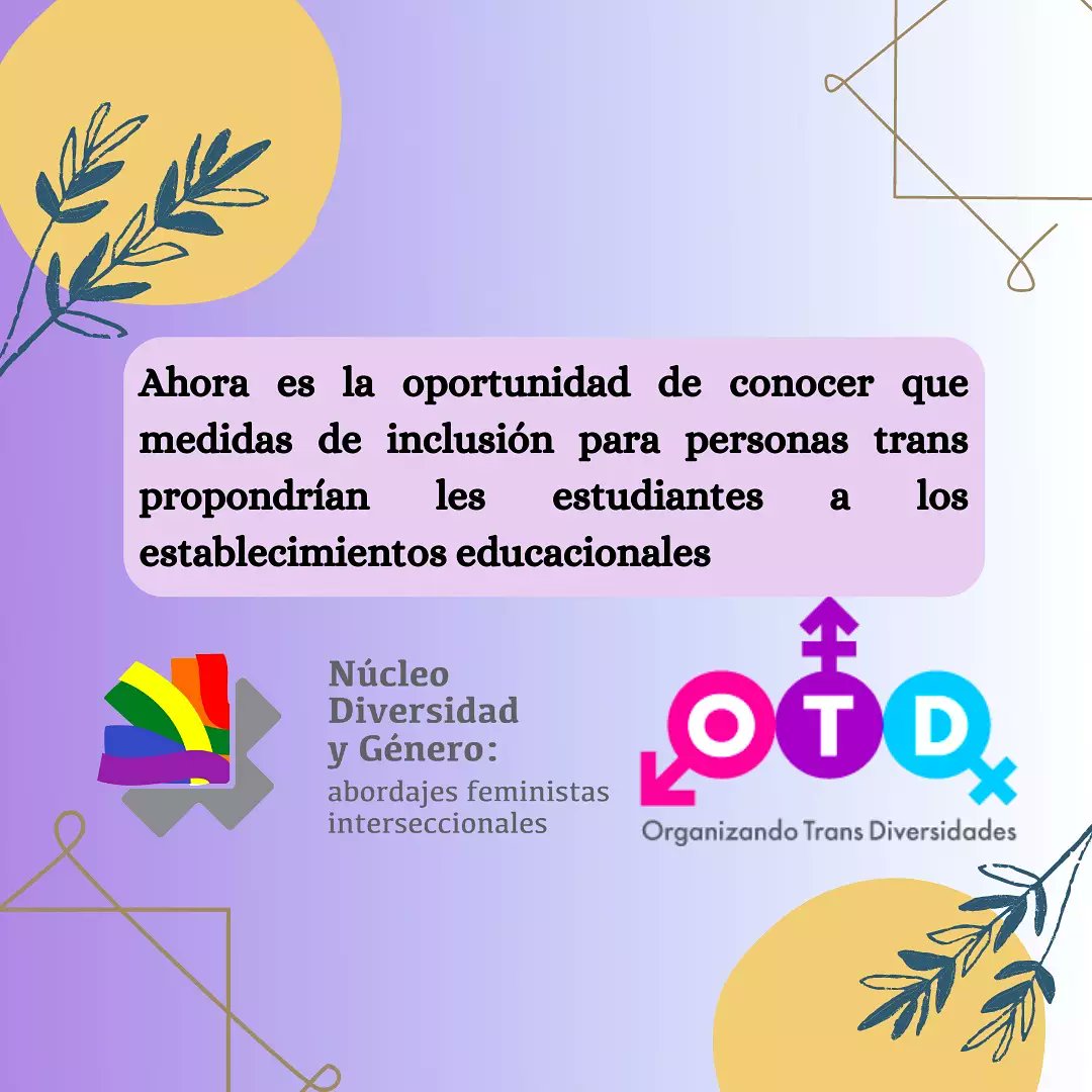 Núcleo Diversidad y Género tweet media