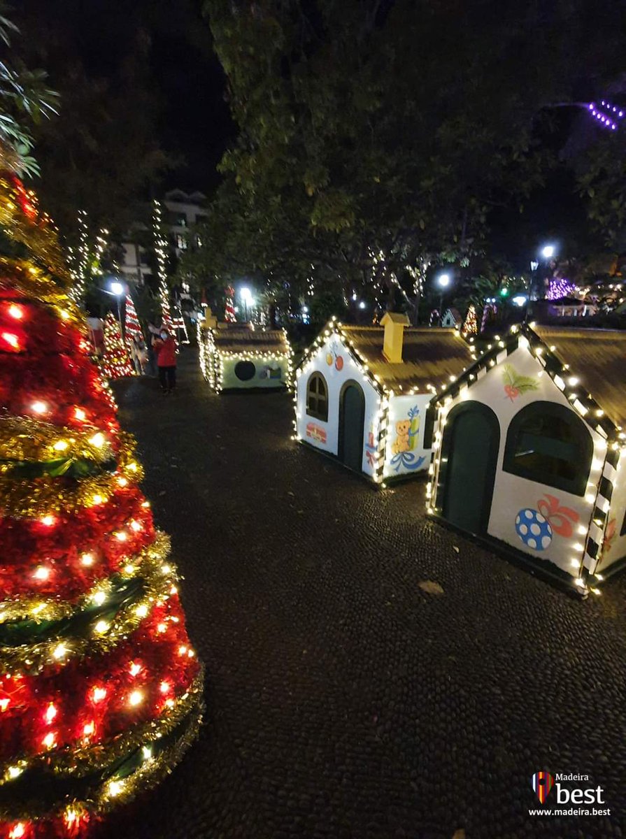 Christmas Lights are now ON 🎄
Happy Christmas!  
#Madeira #Funchal #Natal 