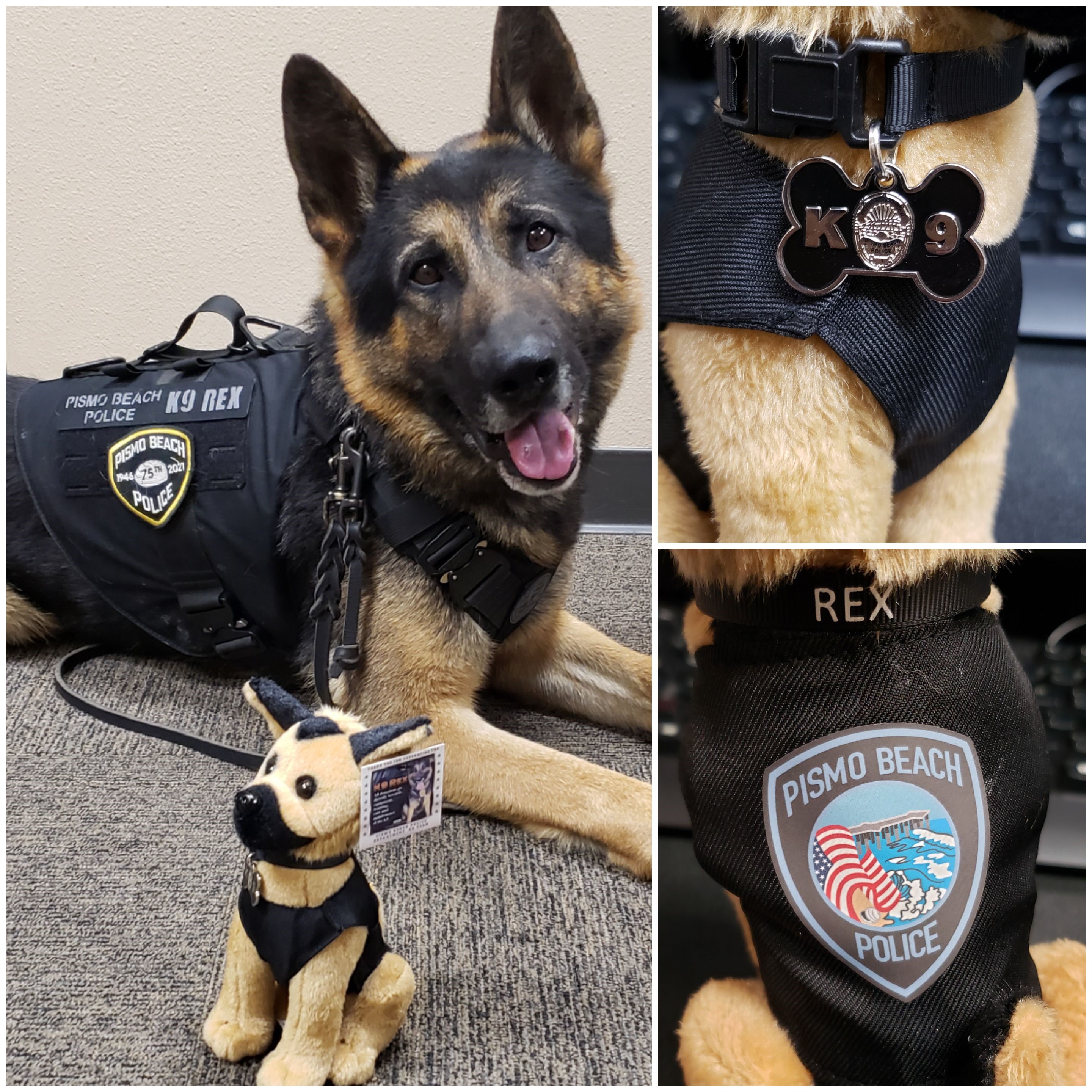 K9 unit cheap collar