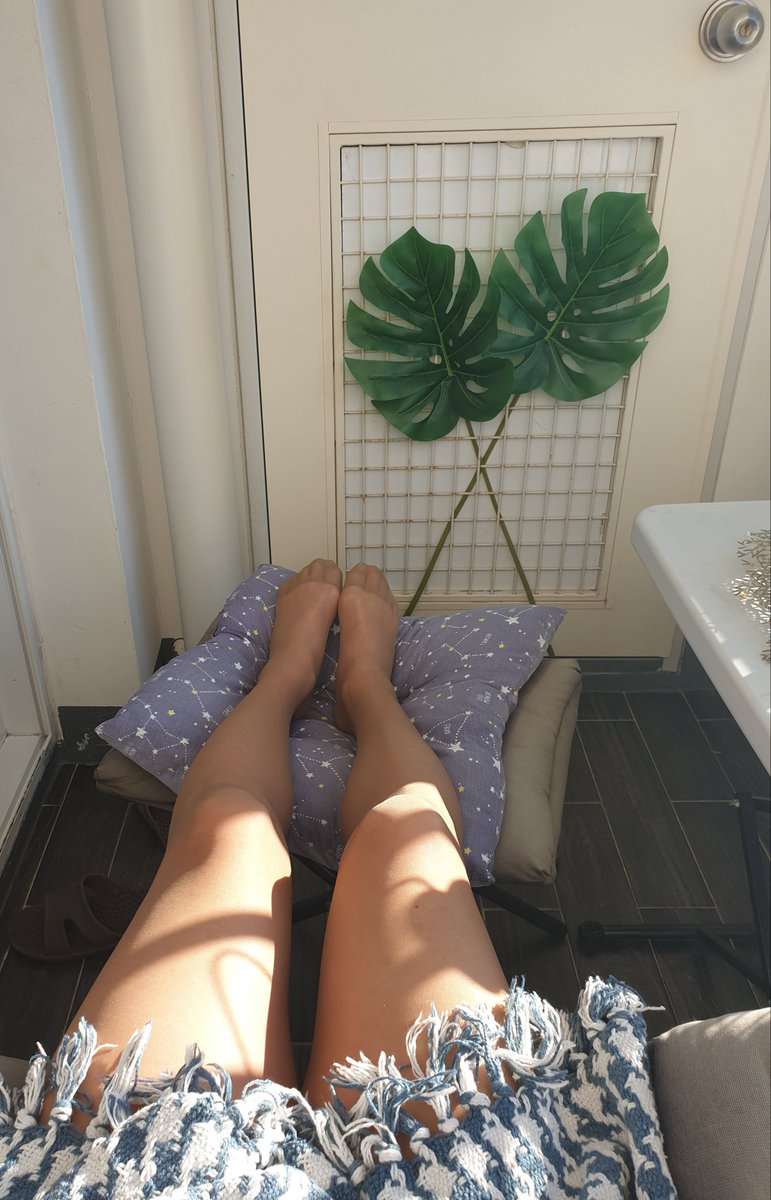 #시디 #커피색팬티스타킹 #속초 #찬바람