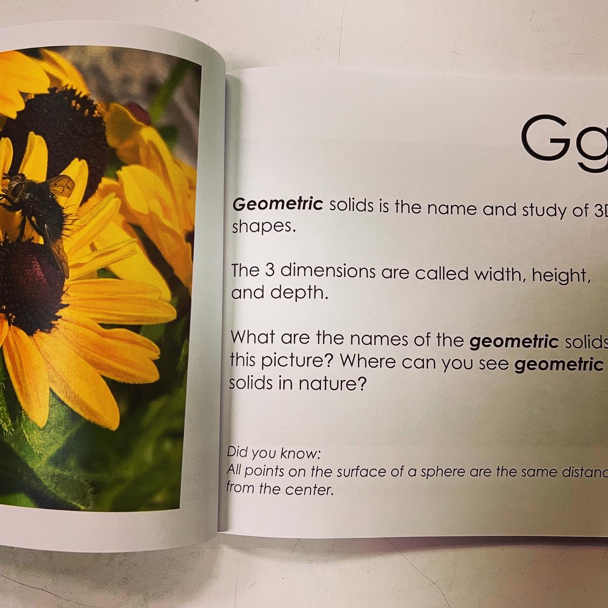 MrsQuilley's tweet photo. Using ABC Math in Nature #grade2 and #grade3 students explored #geometricshapes in #nature What shapes can you see in nature?#shapes #2dshapes #3dshapes #mathinnature #math #mathematics #mathteacher #childrensliterature #literature #mathliteracy #inquiry #outdoorlearning https://t.co/KqIrKjN7Qr
